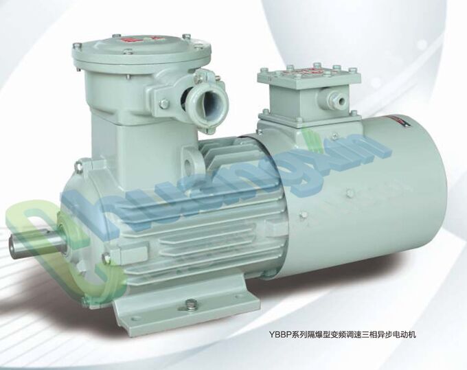 YBBP係(xi)列隔爆型變頻調速(su)三相異步電(dian)動(dòng)機(jī)